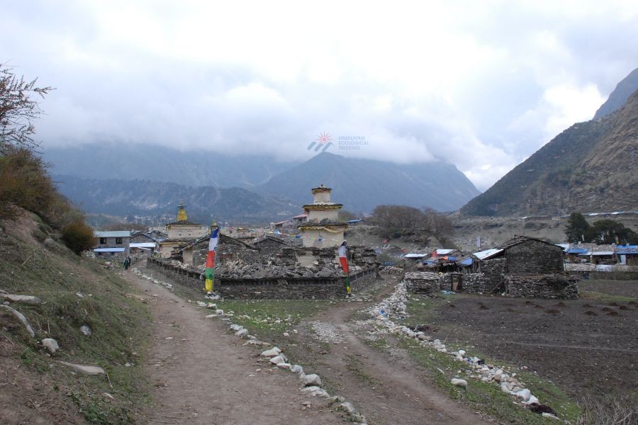 Stone chortens and traditional Tibetan architecture in Samagaun village with mountains behind